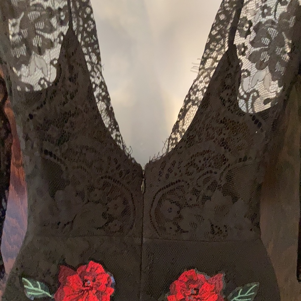 Express Embroidered Dress - Picture 5 of 6